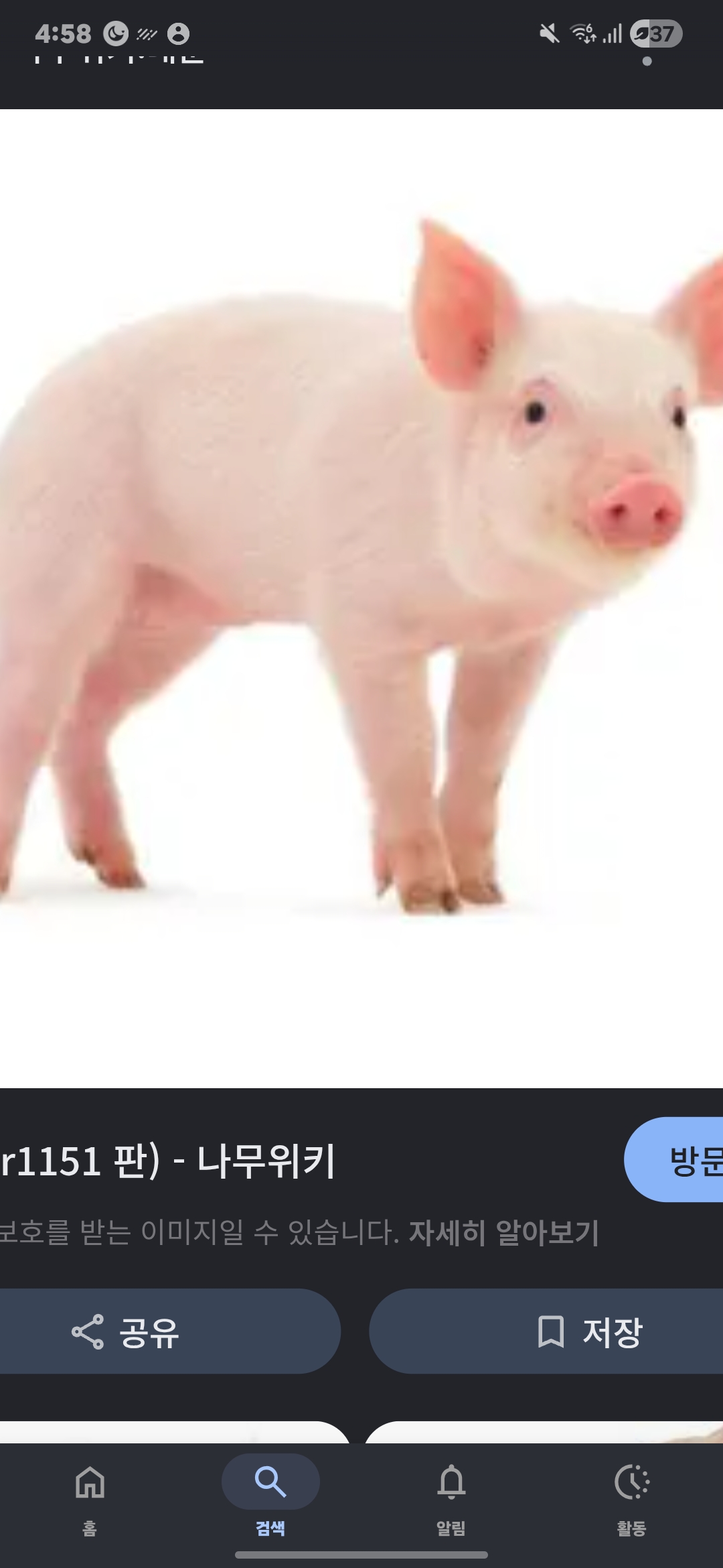 공략 이미지